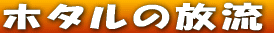 �z�^���̕��� 