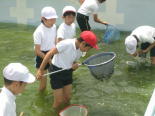 JSC5