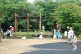 JSCF