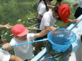 JS11B