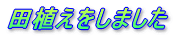 �c�A�������܂���