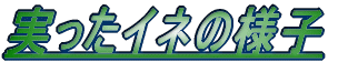 �c�A�������܂���